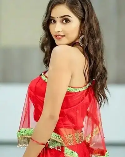 Call Girls Service Chaitanyapuri